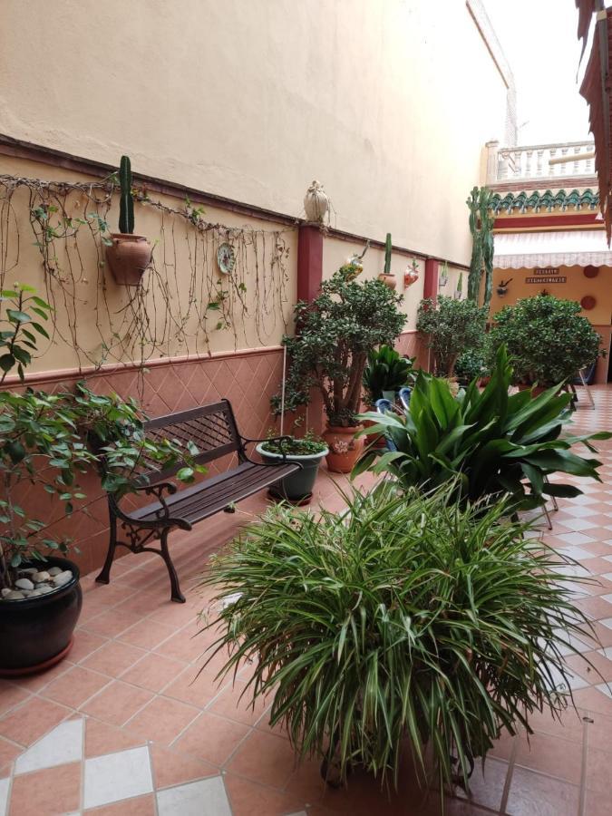 Hostal Monteolivos Cartama Luaran gambar